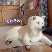 「まだかな…」
