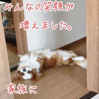 ヘソ天するだいちくん