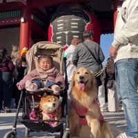 雷門を歩いたり…