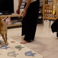 ニコニコ笑顔に♪