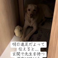 楽しみで眠れない…