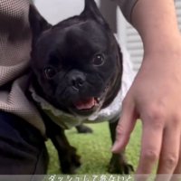 笑顔のあずきちゃん1