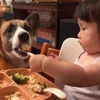 順番に食べようね