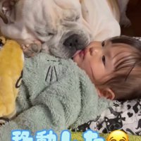 犬に体の上に乗られてジッとしている女の子