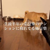「ちょっと落ち着いてよ…」