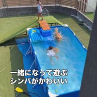 3姉弟でプールを満喫♪