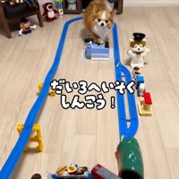 変速させるラピくん