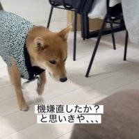 歩き始めたキャプテン