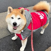 「まだ帰りたくない！」