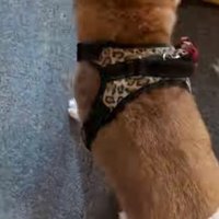軽快にモデルウォーク♪