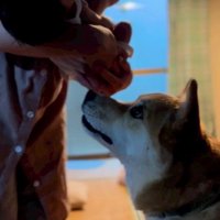 起こさないように…