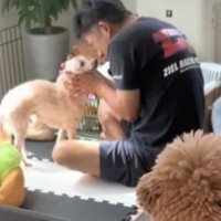 お話しするパパと犬