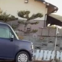 送られてきた映像を見てみたら…