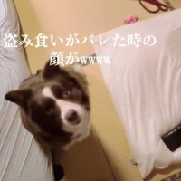 「ごめんなさい…」