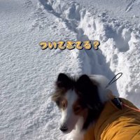 後ろを確認するさつまくん