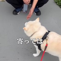 獣医さんを前にすると…