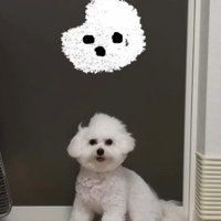 頭が欠けちゃった！？