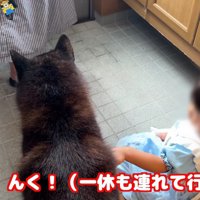 女の子も泣き出した…
