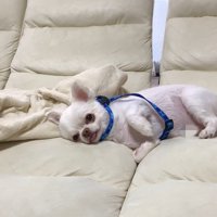 開き直った態度が可愛くて憎めない♡