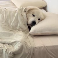 気持ちよさそうな寝顔にキュン