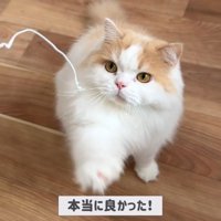 体調不良のレモンさんと優しいポテチくん8