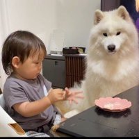 食事中の赤ちゃん