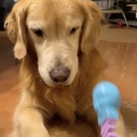 今ではいっぱい遊んでくれます
