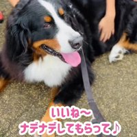人が大好きなあざちゃんでした