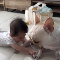 ぶうちゃんと赤ちゃん6