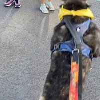 おやつをキャッチするオレオくん