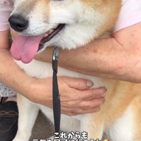 おこめくんをハグするおばあちゃん