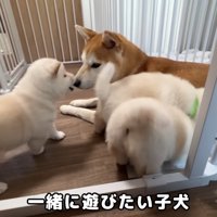 愛情を注がれながら、すくすく成長中♪