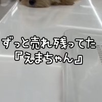 ショーケースの中