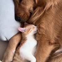 すっぽりはまる諭吉くん