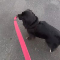 反対方向へと誘導