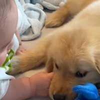 いつも一緒のふたり