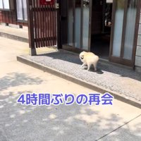 ますお君の熱烈歓迎3