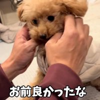 くぅちゃんをなでるパパ