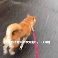 楽しいときは全力で！！