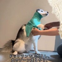 前足を通して…