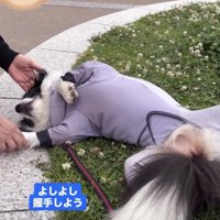 ウットリ…