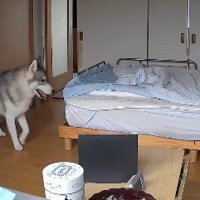 何日間も探し続けた