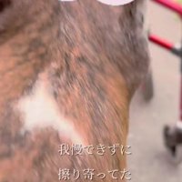 モエちゃんも甘えん坊に