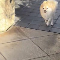 休憩中のソラちゃん