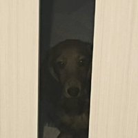 素敵な名前を知れましたね！！