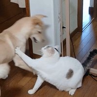 そらちゃんの変化6