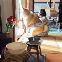 甘えん坊な駄偉助くんの日常