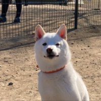 ドヤ顔