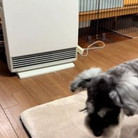 立ち去るジュディちゃん