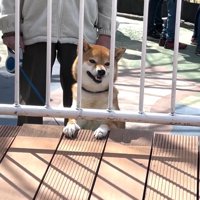 順番を待つ女の子を見守っています